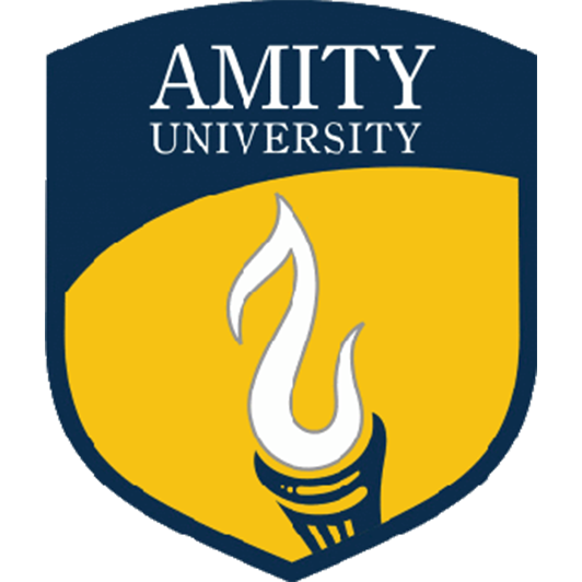 Amity Bsc IT Solve Assignment For Introduction to Financial Accounting